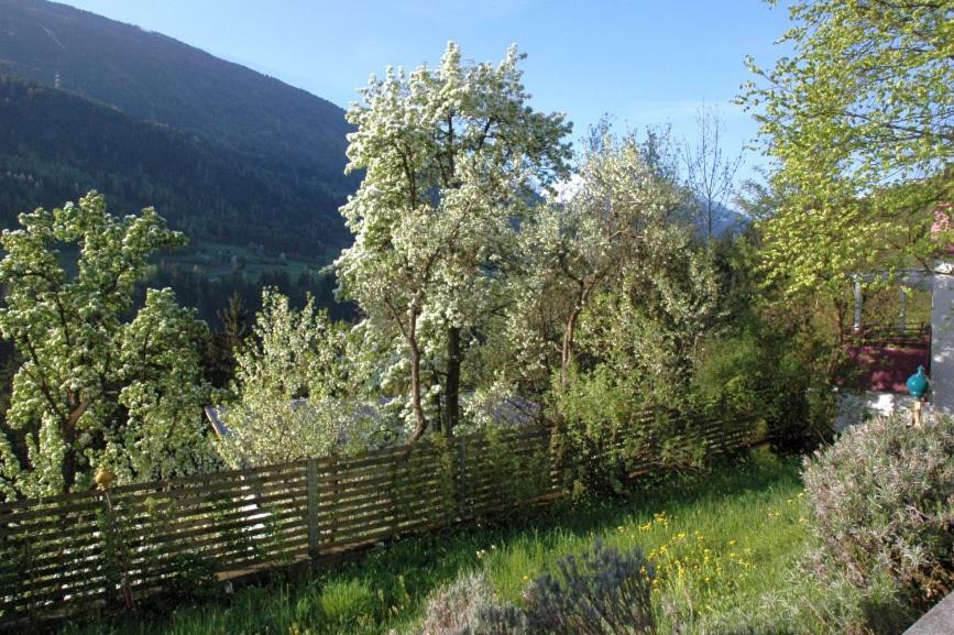 Studio Ualysses Arzl im Pitztal Exteriör bild